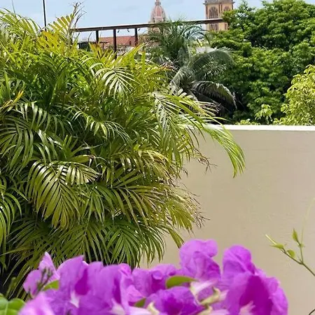Walled Apt- Rooftop Pool & Private Garden * Cartagena